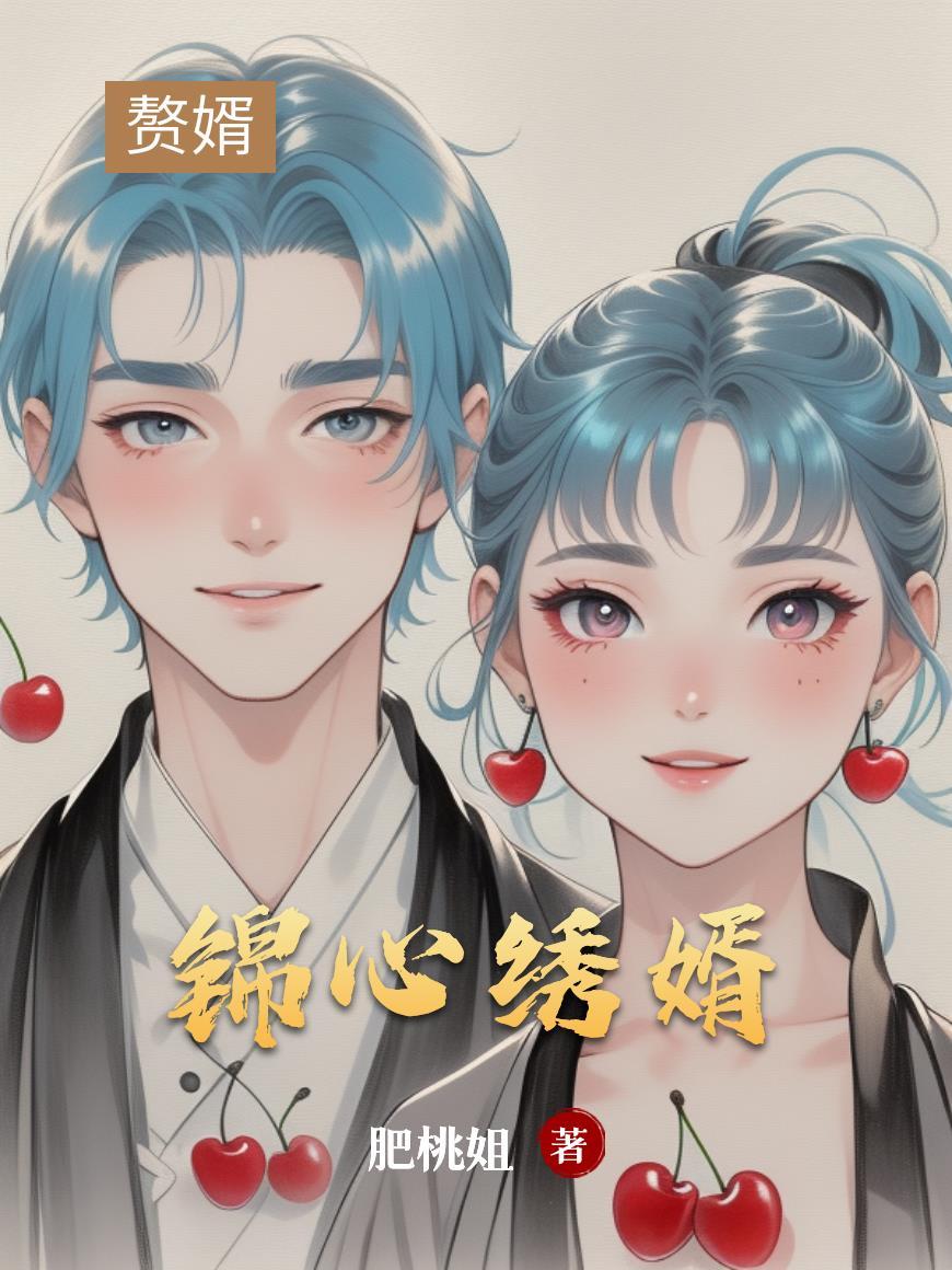 锦心绣婿
